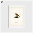 アートポストカード-Corn Bunting
 - スヴェンスカ フォグラル Postcard.