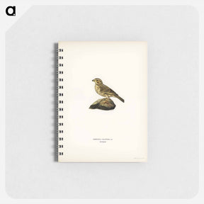 アートメモ帳-Corn Bunting
 - スヴェンスカ フォグラル Memo.