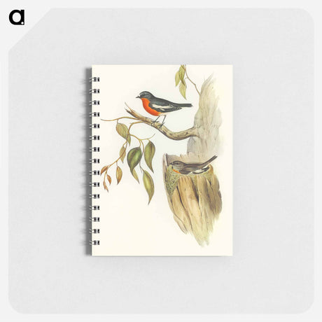 アートメモ帳-Flame-breasted Robin
 - オーストラリアの鳥 Memo.