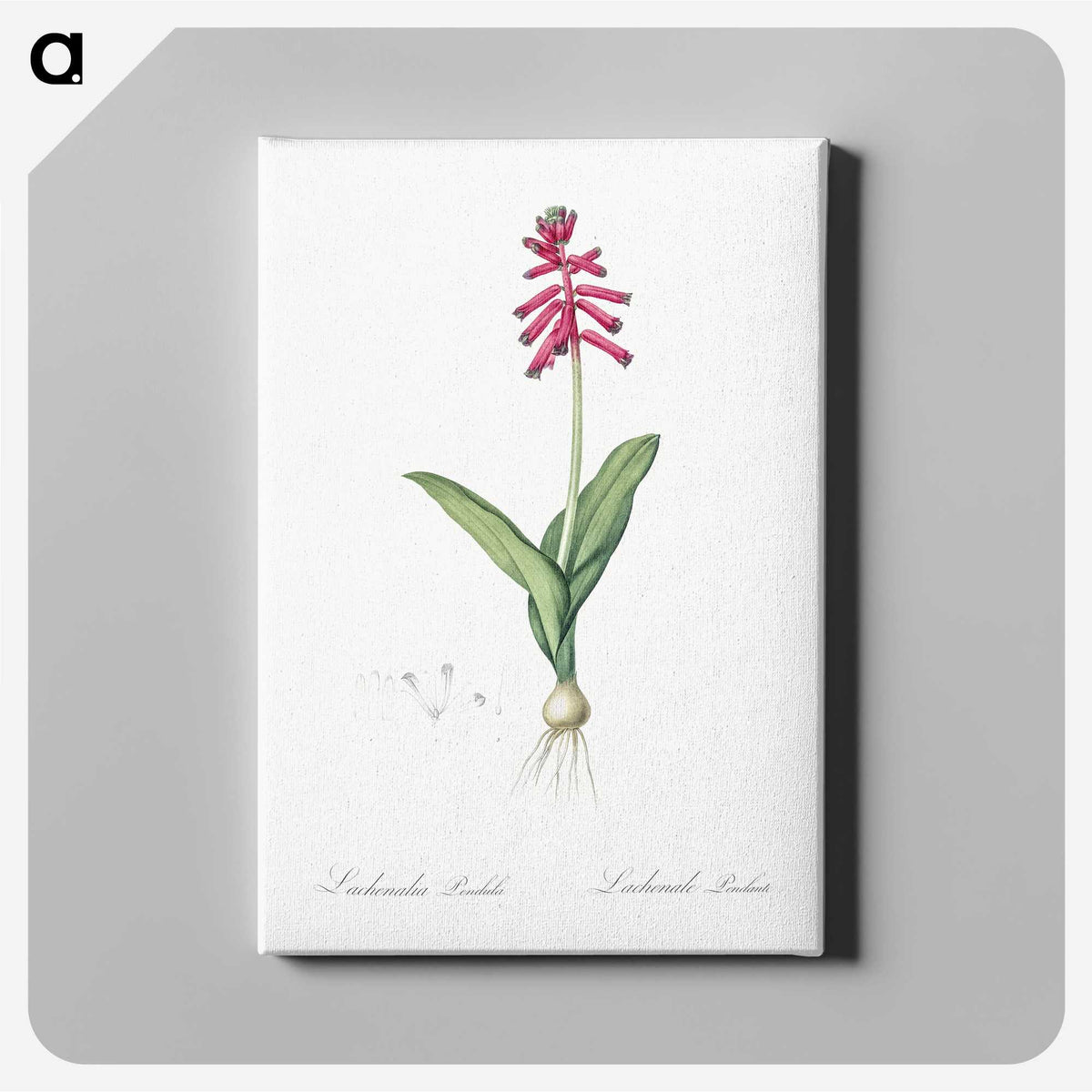 3-47_The-Lilies_canvas
