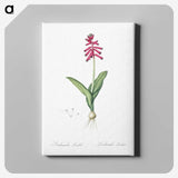 3-47_The-Lilies_canvas