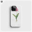 3-47_The-Lilies_phone