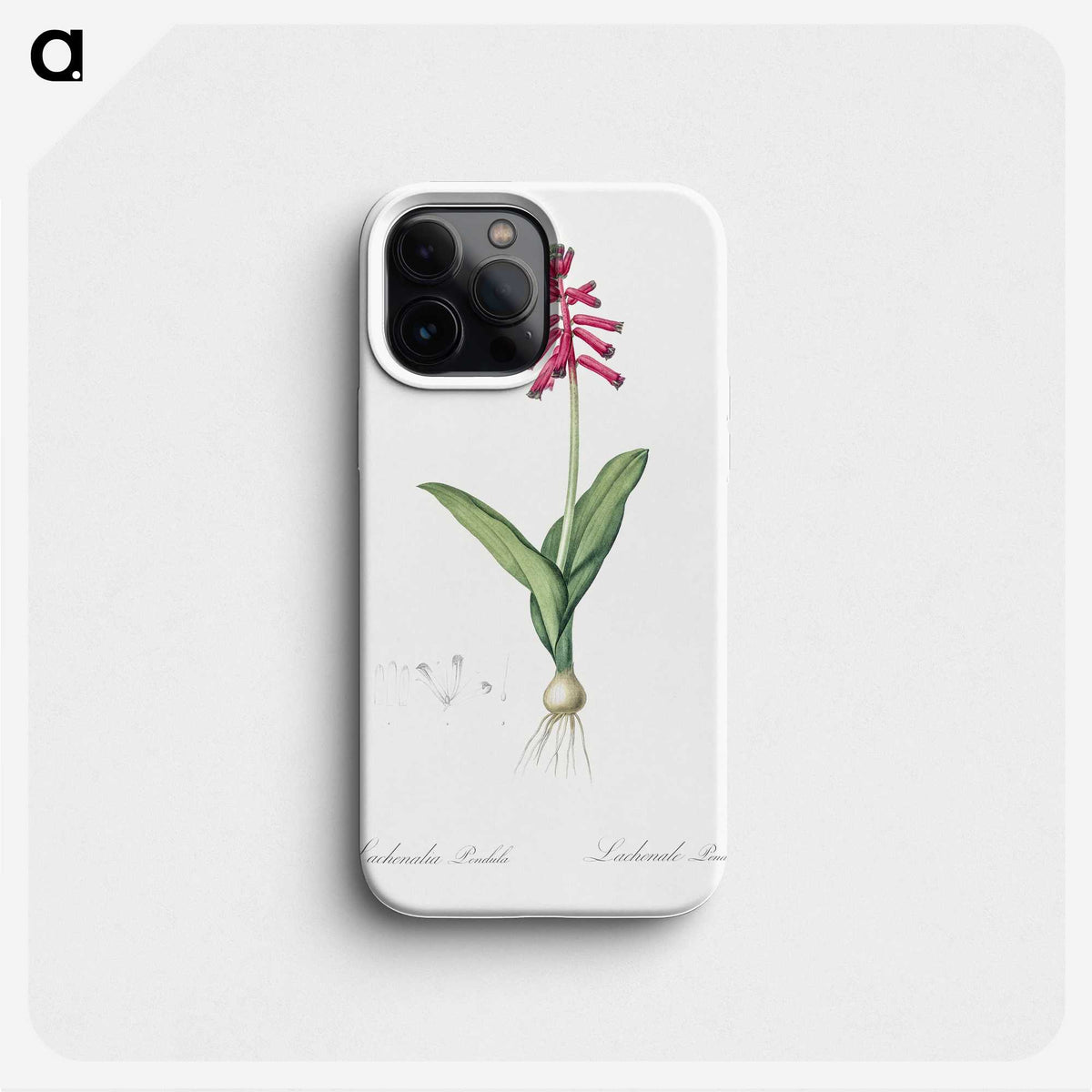 3-47_The-Lilies_phone