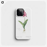 3-47_The-Lilies_phone