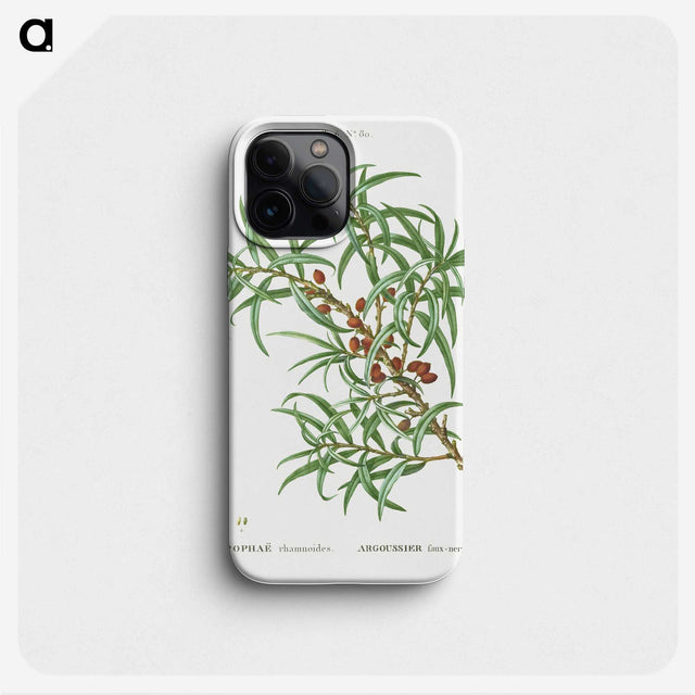 3-47_Treatise-on-Trees-and-Shrubs_phone