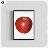 3-47_USDA-Watercolor-Fruit-Painting-Collection_blk-crop
