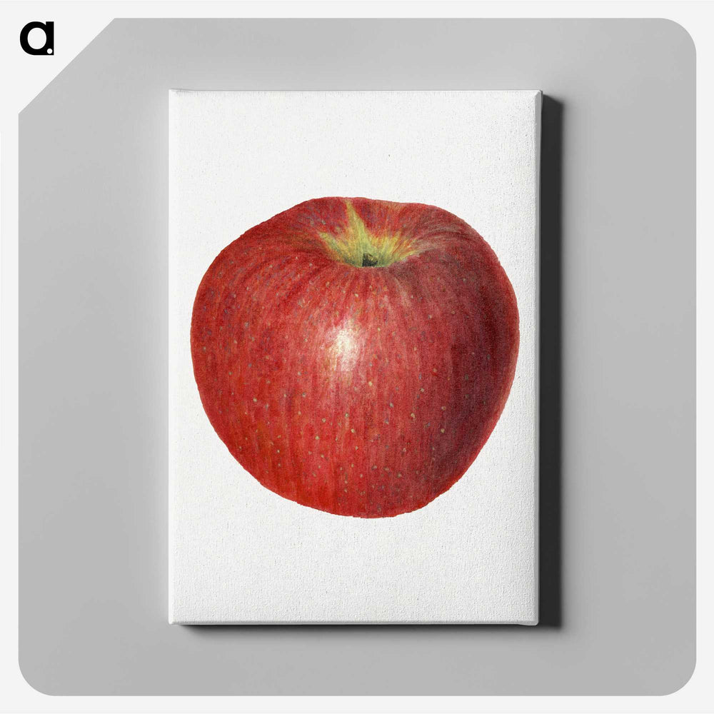3-47_USDA-Watercolor-Fruit-Painting-Collection_canvas