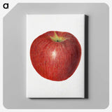 3-47_USDA-Watercolor-Fruit-Painting-Collection_canvas