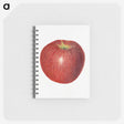 3-47_USDA-Watercolor-Fruit-Painting-Collection_memo
