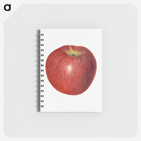 3-47_USDA-Watercolor-Fruit-Painting-Collection_memo