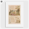 3-47_William-Blake_picture