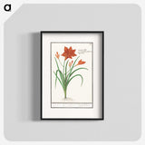 3-48_Anselmus-Boetius-de-Boodt_blk