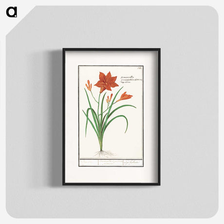 3-48_Anselmus-Boetius-de-Boodt_blk