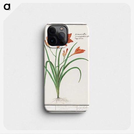 3-48_Anselmus-Boetius-de-Boodt_phone