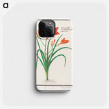 Orange daylily, Hemerocallis - アンセルムス ボエティウス デ ブート Phone Case.