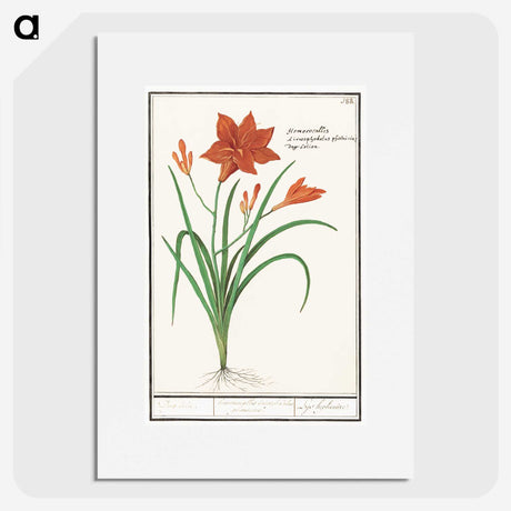 3-48_Anselmus-Boetius-de-Boodt_picture