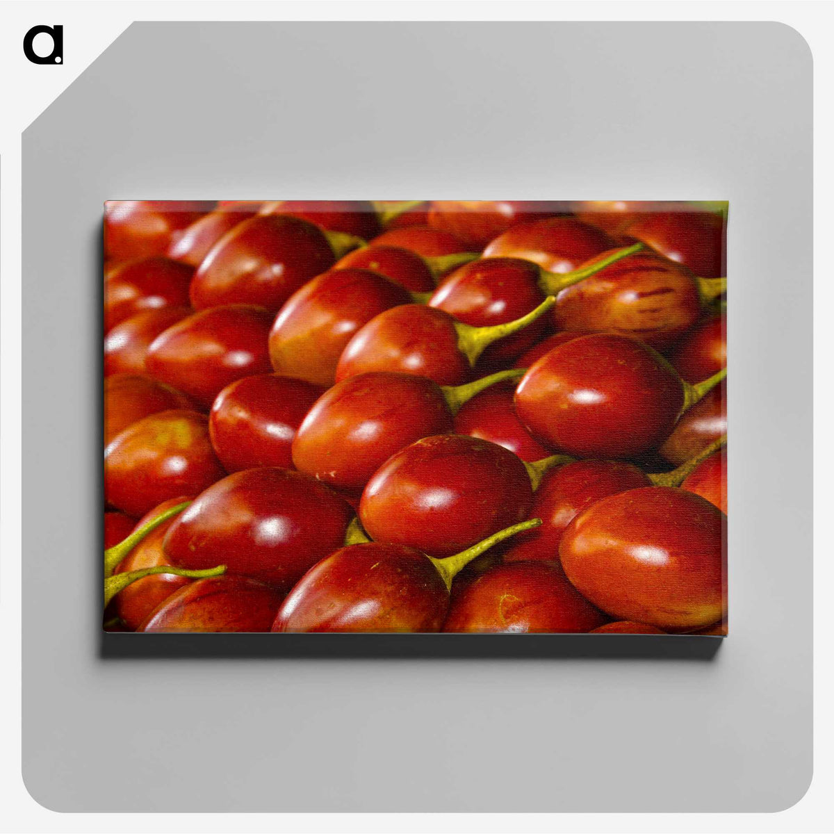 3-48_COVID-19_canvas