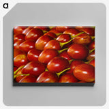3-48_COVID-19_canvas