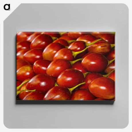 3-48_COVID-19_canvas