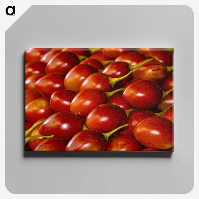 3-48_COVID-19_canvas