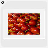 3-48_COVID-19_picture