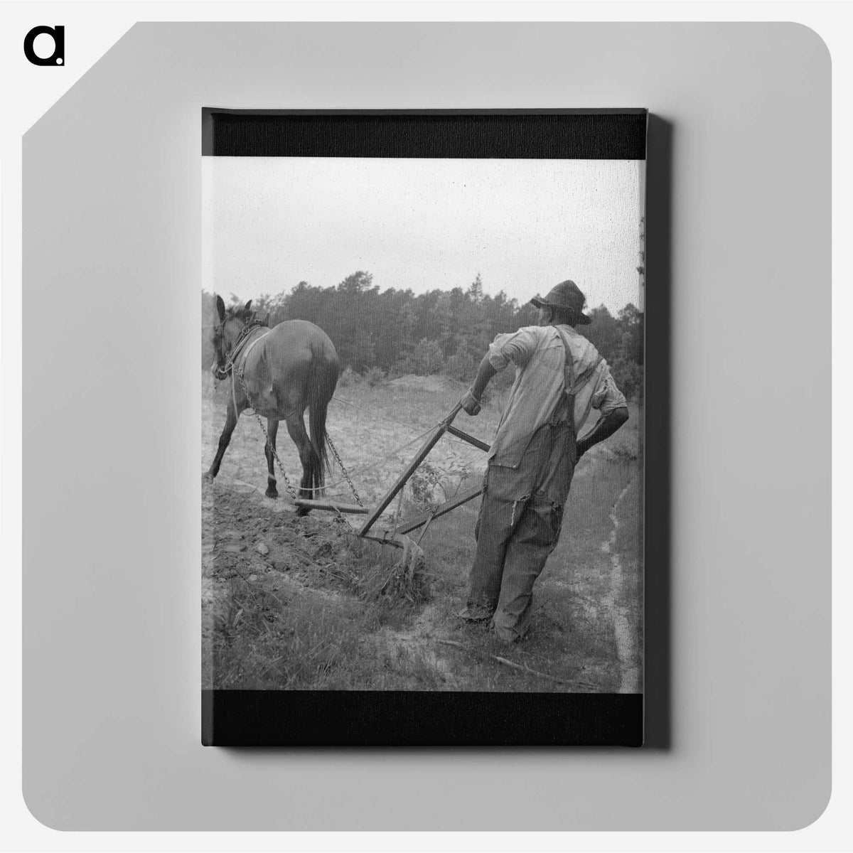 3-48_Dorothea-Lange_canvas