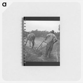 アートメモ帳-Plowing Corn - ドロテア ラング Memo.