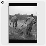 3-48_Dorothea-Lange_picture-crop
