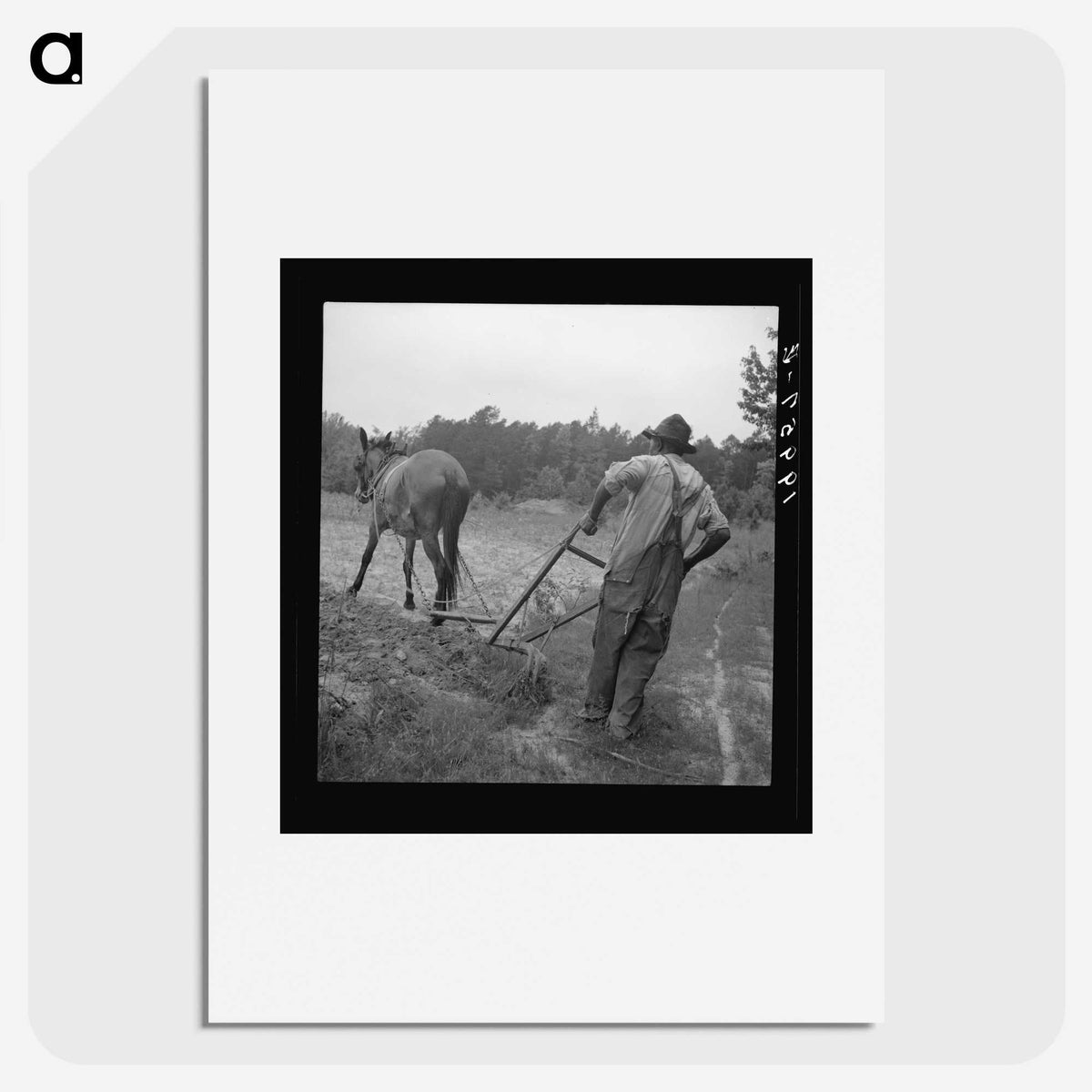 3-48_Dorothea-Lange_picture