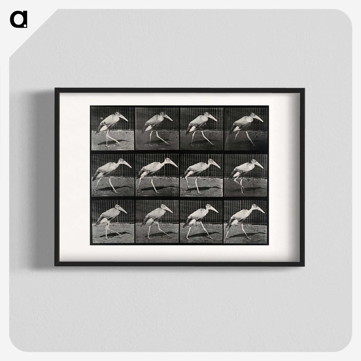 3-48_Eadweard-Muybridge_blk