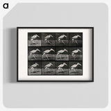 3-48_Eadweard-Muybridge_blk