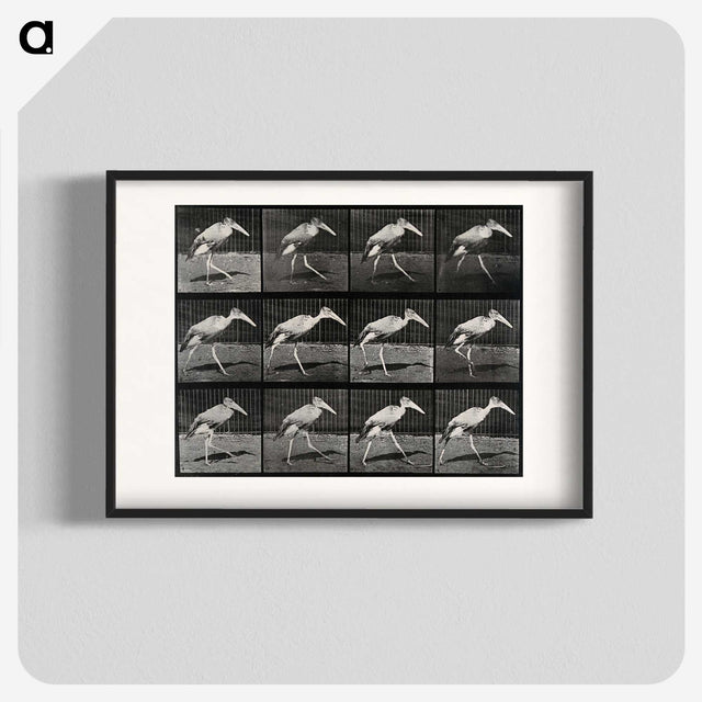 3-48_Eadweard-Muybridge_blk