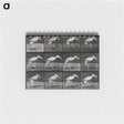 3-48_Eadweard-Muybridge_memo