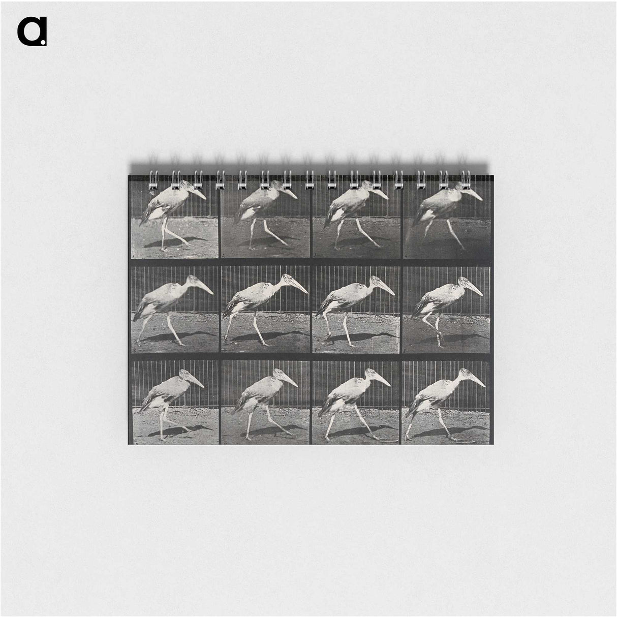3-48_Eadweard-Muybridge_memo