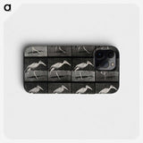 3-48_Eadweard-Muybridge_phone