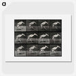 3-48_Eadweard-Muybridge_picture
