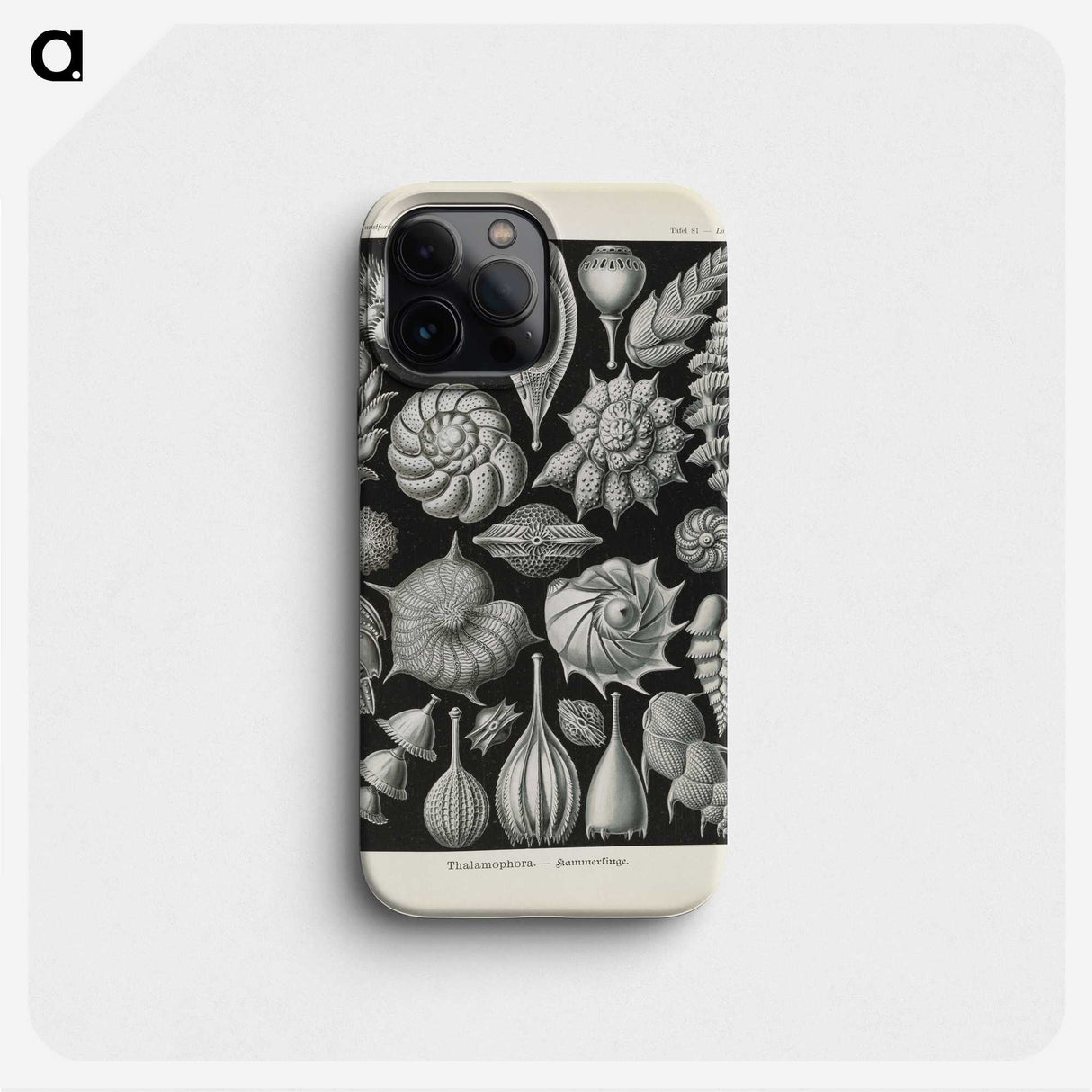 3-48_Ernst-Haeckel_phone