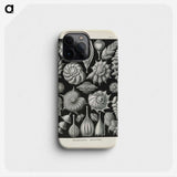 3-48_Ernst-Haeckel_phone