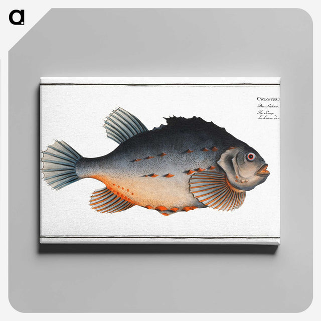 3-48_Ichtyologie-ou-Histoire-naturelle_canvas
