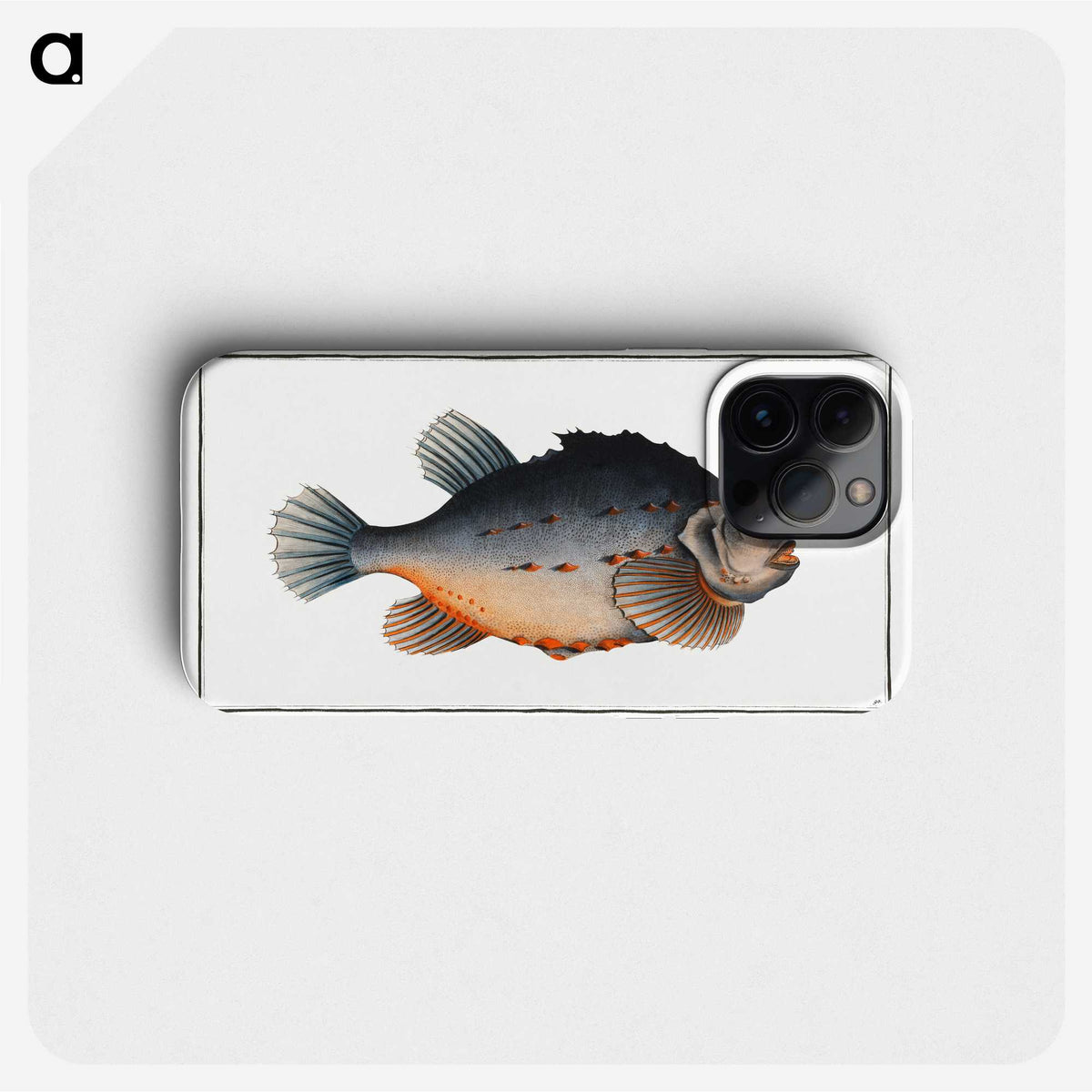 3-48_Ichtyologie-ou-Histoire-naturelle_phone