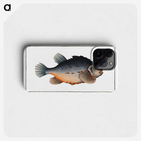 3-48_Ichtyologie-ou-Histoire-naturelle_phone