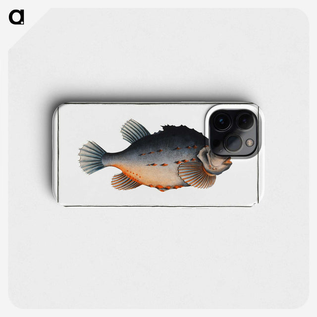 3-48_Ichtyologie-ou-Histoire-naturelle_phone