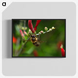 3-48_Insects-Unlocked-Project_blk-crop