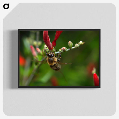 3-48_Insects-Unlocked-Project_blk-crop