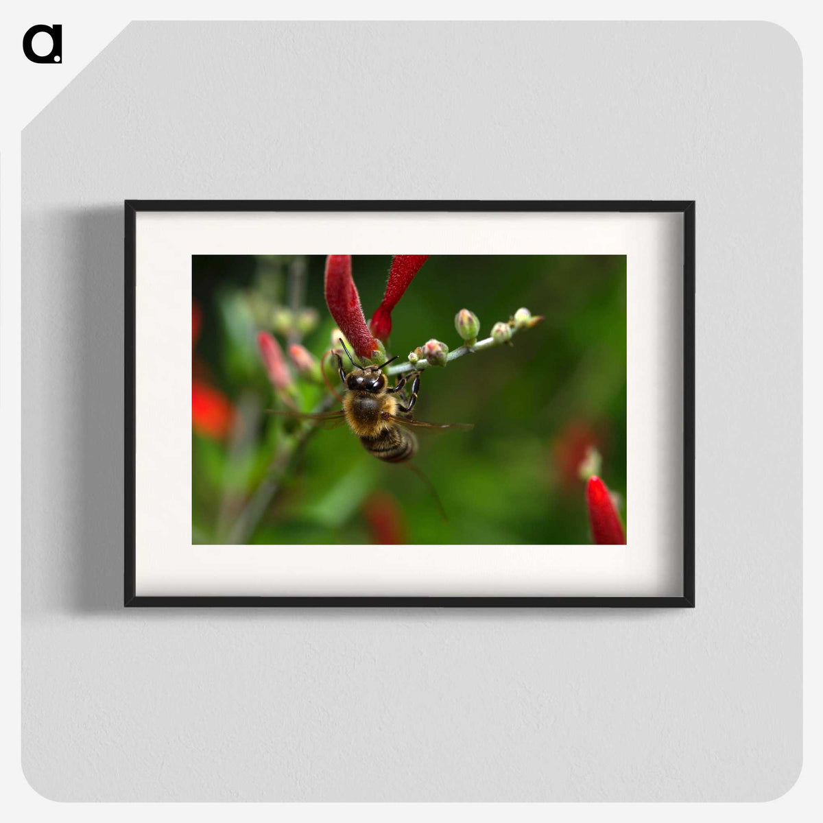3-48_Insects-Unlocked-Project_blk