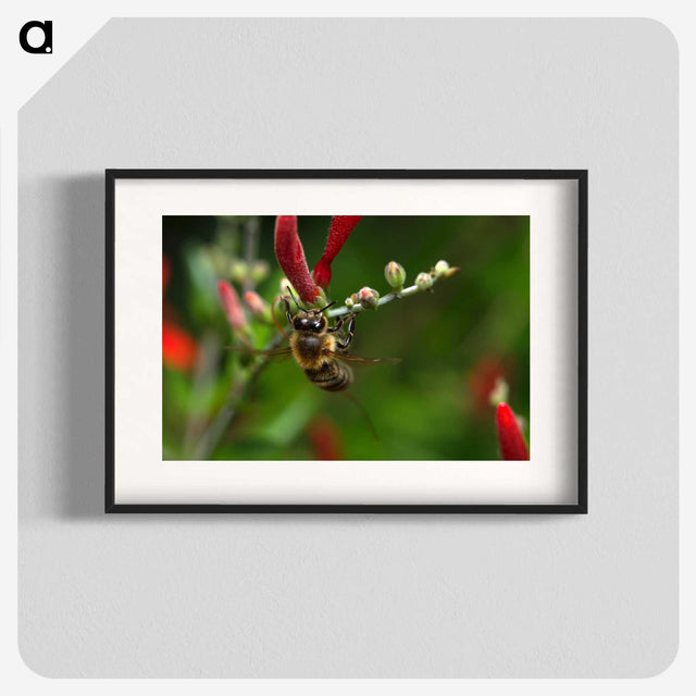 3-48_Insects-Unlocked-Project_blk