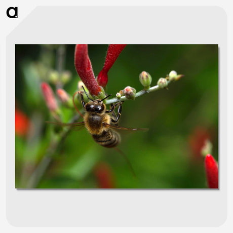 3-48_Insects-Unlocked-Project_picture-crop
