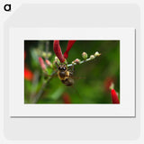 3-48_Insects-Unlocked-Project_picture