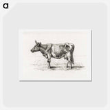 アートポストカード-Standing cow - ジャン ベルナール Postcard.