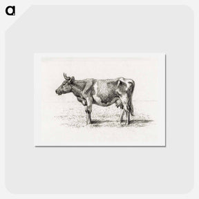 アートポストカード-Standing cow - ジャン ベルナール Postcard.
